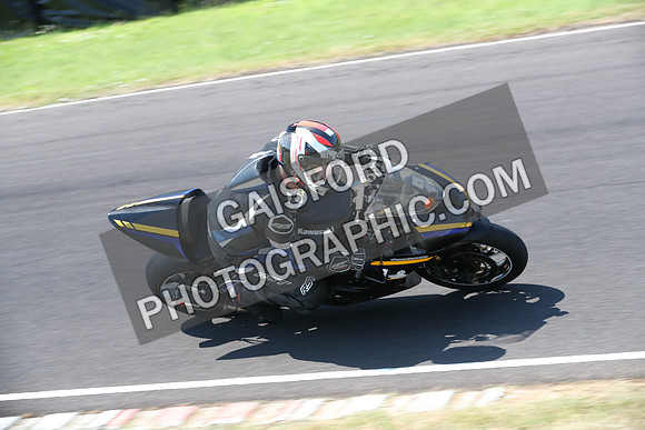 BIKES 0549