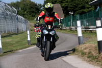 Triumph black