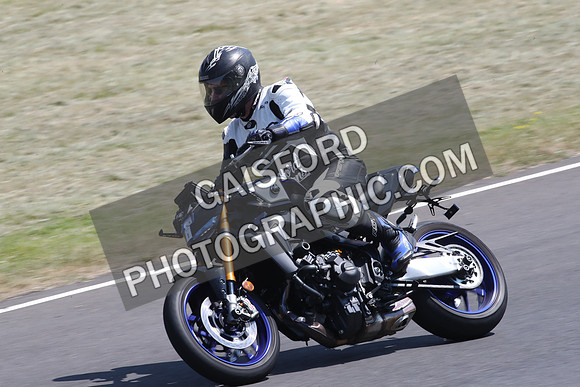 BIKES 2019