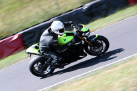 BIKES 0259