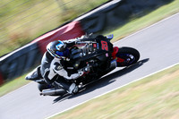BIKES 0298