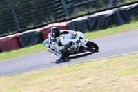BIKES 0281
