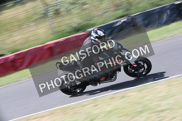 BIKES 0291