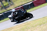 BIKES 0310