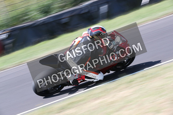 BIKES 0289