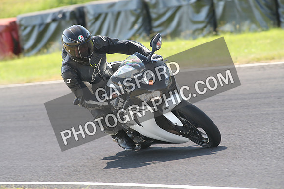 BIKES 1303