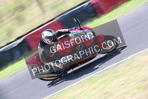 BIKES 0390