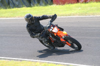 BIKES 1309