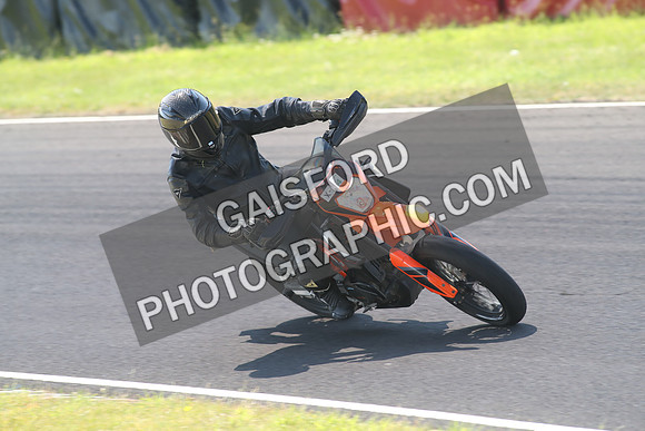 BIKES 1309