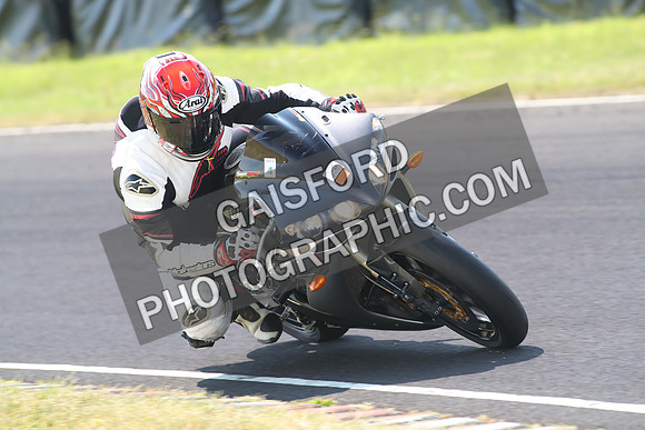 BIKES 1297