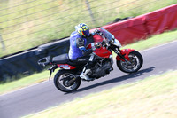 BIKES 0399