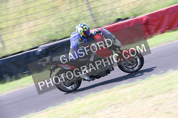 BIKES 0399