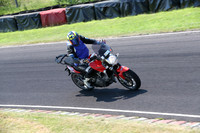 BIKES 0434