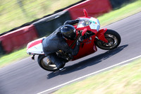 BIKES 0485