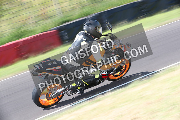 BIKES 0497