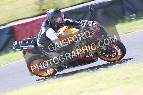 BIKES 1434