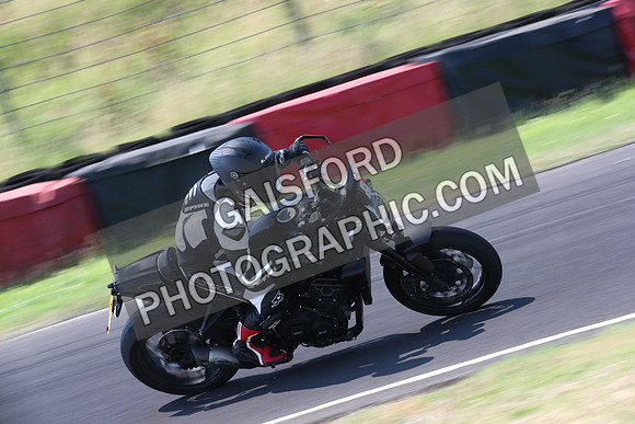 BIKES 0452