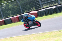 BIKES 0477