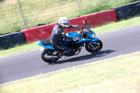 Suzuki blue