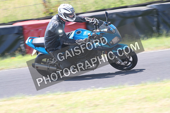 BIKES 1351