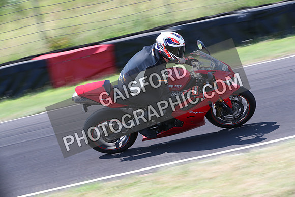 BIKES 0482