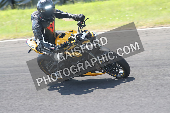 BIKES 1407