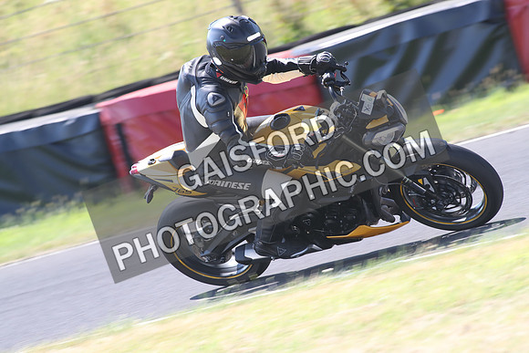 BIKES 1431