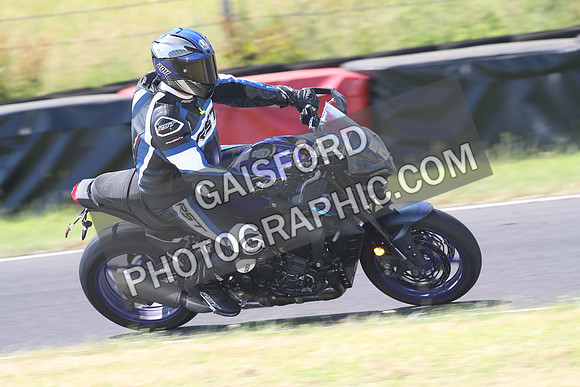 BIKES 1350