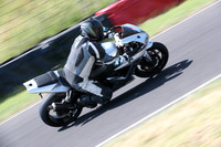 BIKES 0491