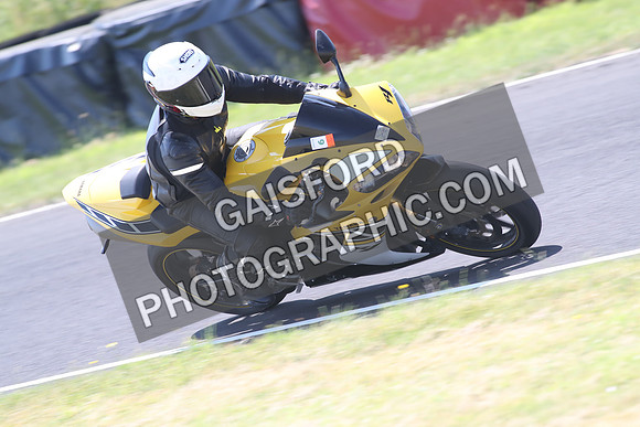 BIKES 1429