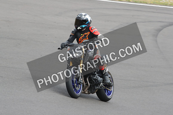 BIKES 1241