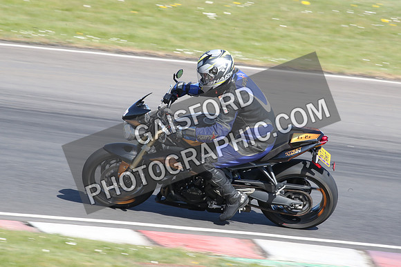 BIKES 2119