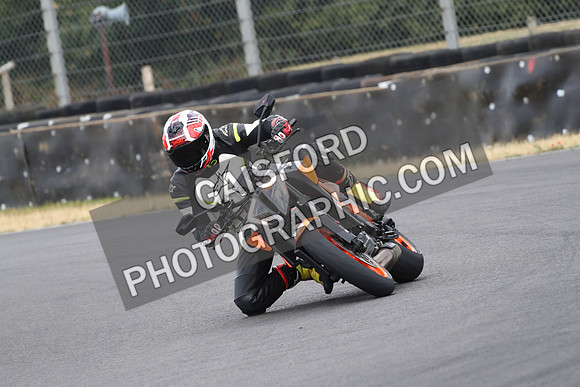 BIKES 0619