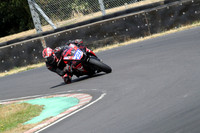 BIKES 0875