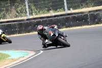 BIKES 0767