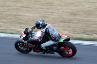 BIKES 1300