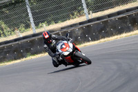 BIKES 0859