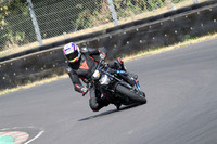 BIKES 0869