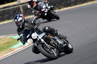 BIKES 0879