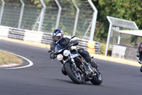 BIKES 1390