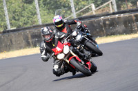 BIKES 0944