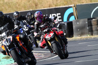 BIKES 0448