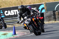 BIKES 0447