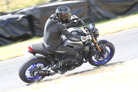 BIKES 1615