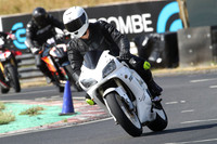 BIKES 0444