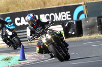 BIKES 0486