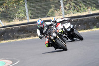 BIKES 1015