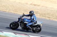BIKES 2913