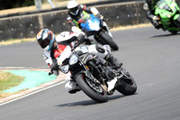 BIKES 1019