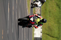 CC BIKE TD 0446